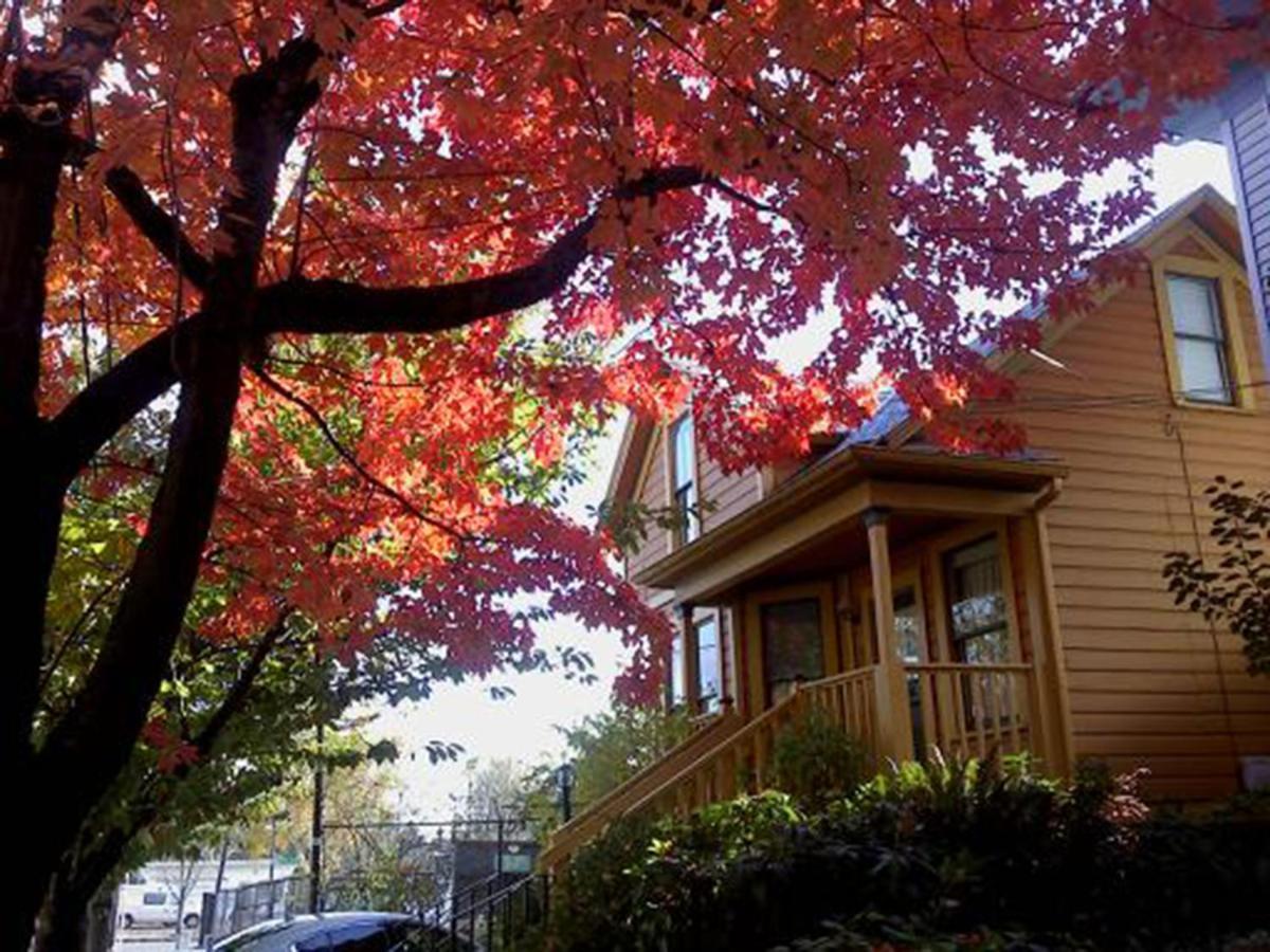 Ne Oregon Modern Victorian Duplex